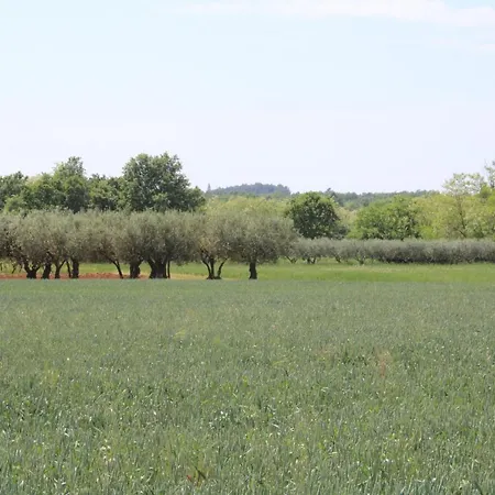 Nel Rosa ポレッチ